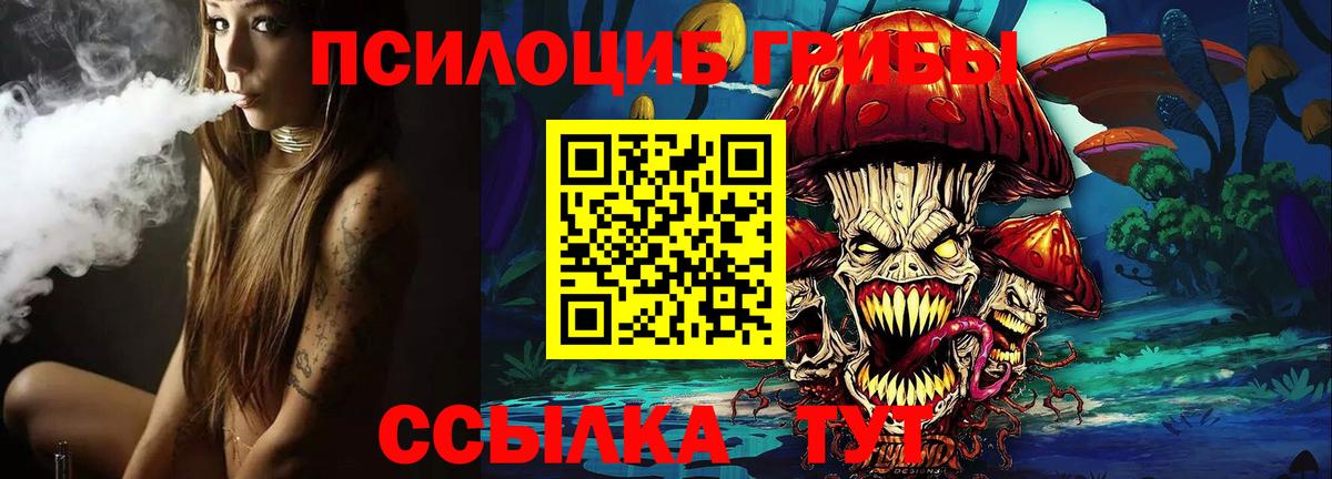 Великий Новгород  Псилоцибиновые грибы мухоморы  Вход с VPN 