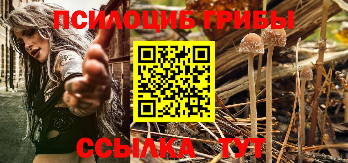 Галлюциногенные грибы MAGIC MUSHROOMS Великий Новгород