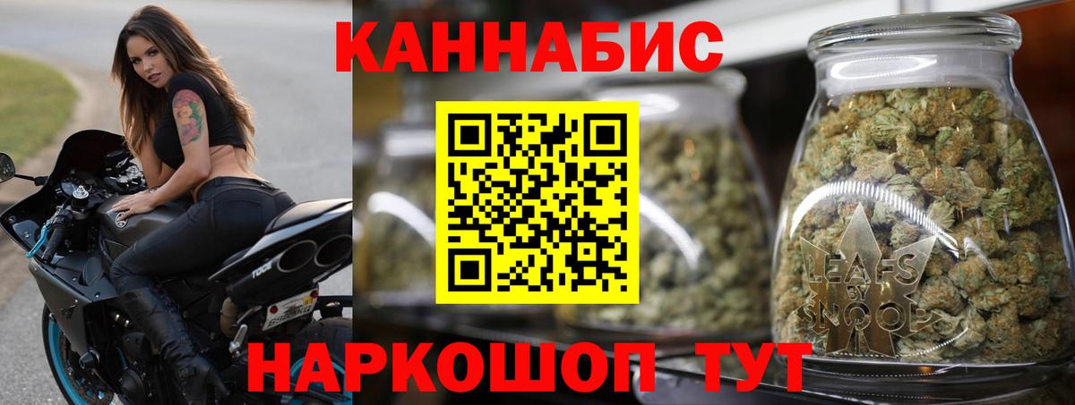 Конопля гибрид Великий Новгород